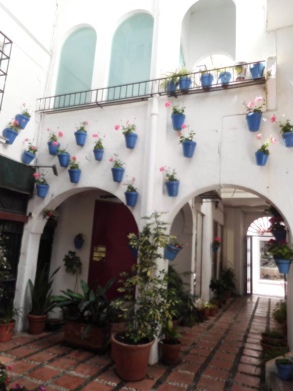 Lägenhet Casa Holandaluzas Near Beach, With Salt Water Pool And Private Parking